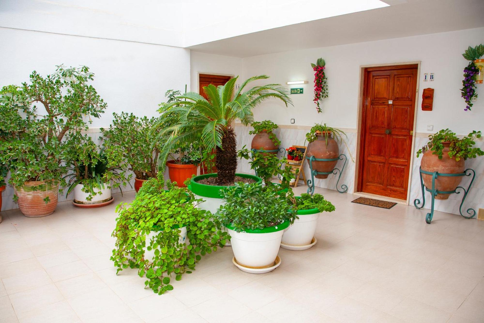Atalaya Bosque Apartamentos Peguera Buitenkant foto